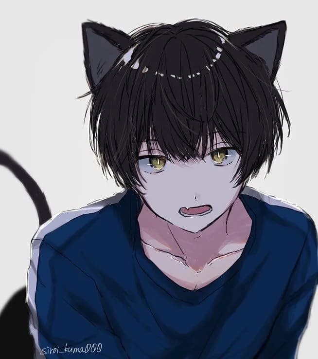 Kataro (Catboy)