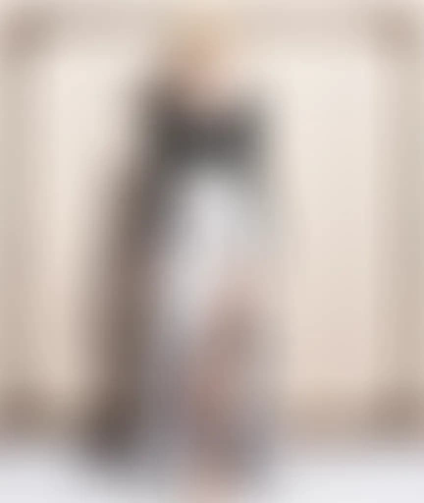 Blurred preview image